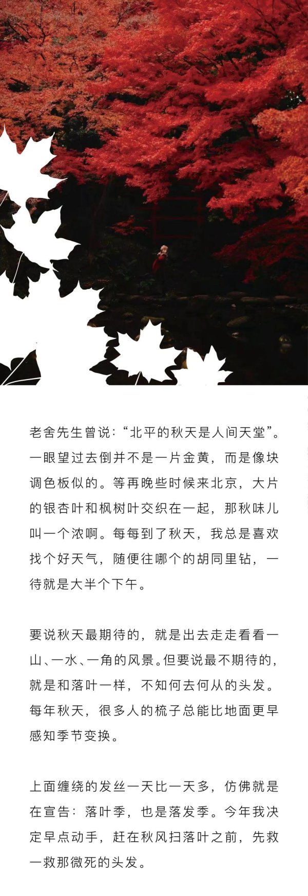 华信投资 护发 | 入秋，头发有点微死