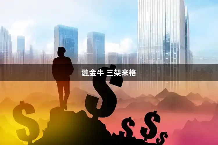 融金牛 三架米格