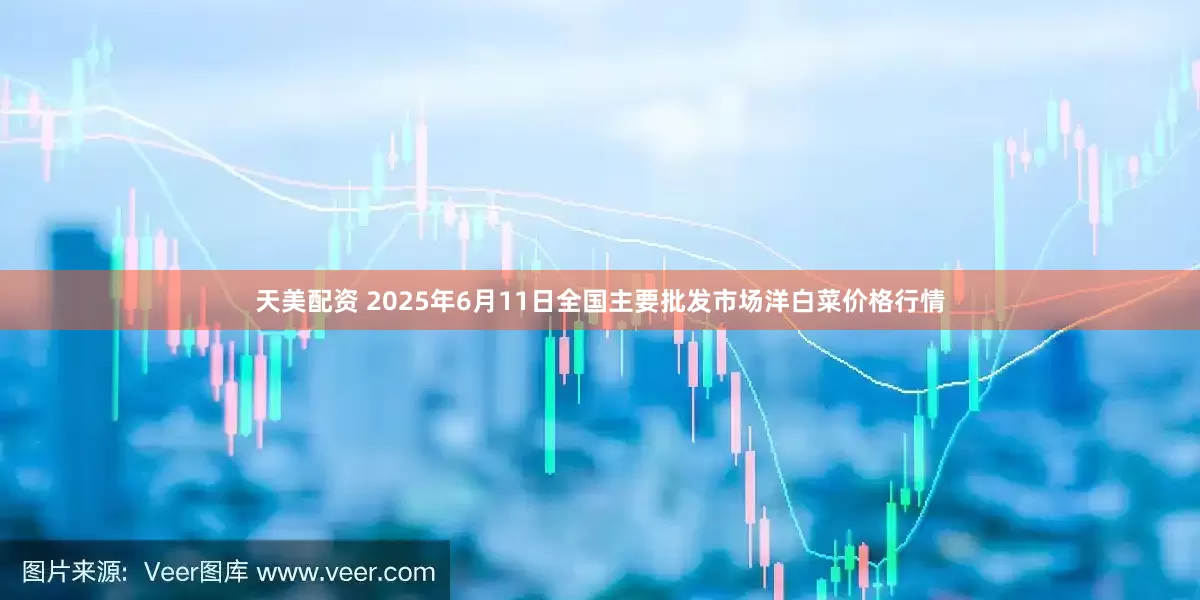 天美配资 2025年6月11日全国主要批发市场洋白菜价格行情